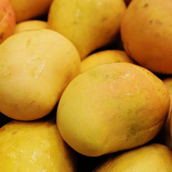 mangoes